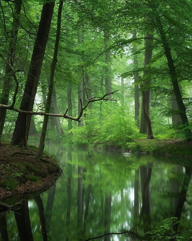 Beautiful And Colorful Netherlands Photos