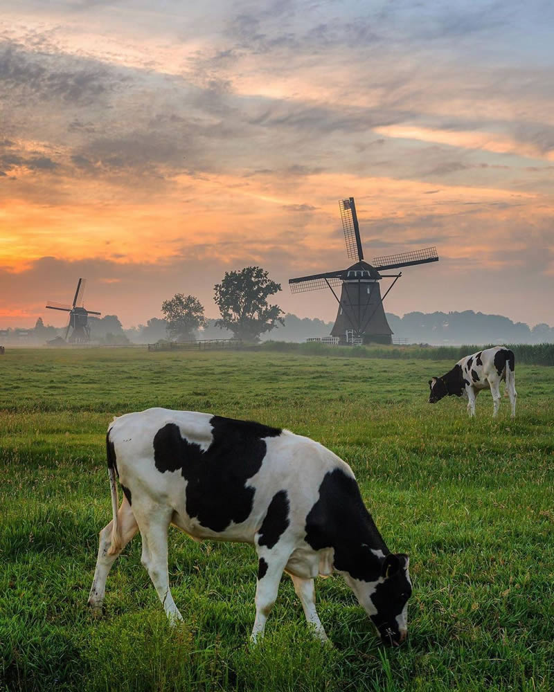 Beautiful And Colorful Netherlands Photos