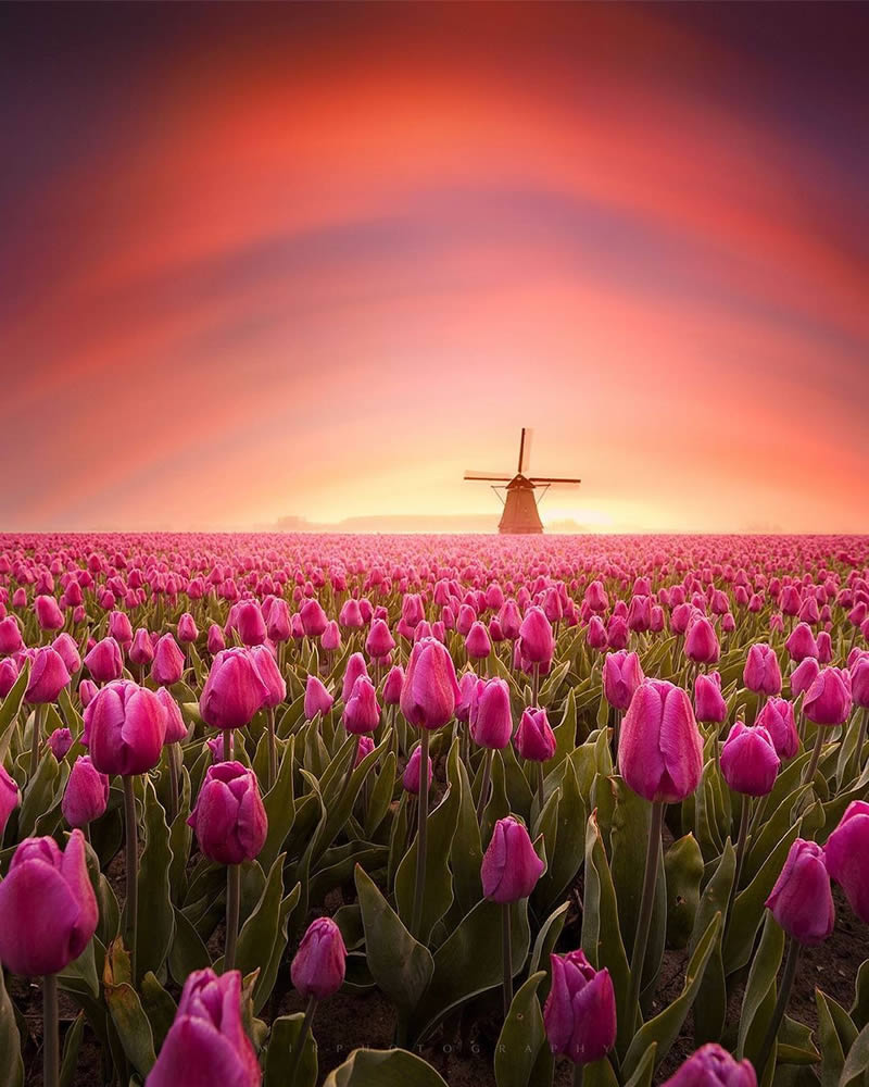 Beautiful And Colorful Netherlands Photos