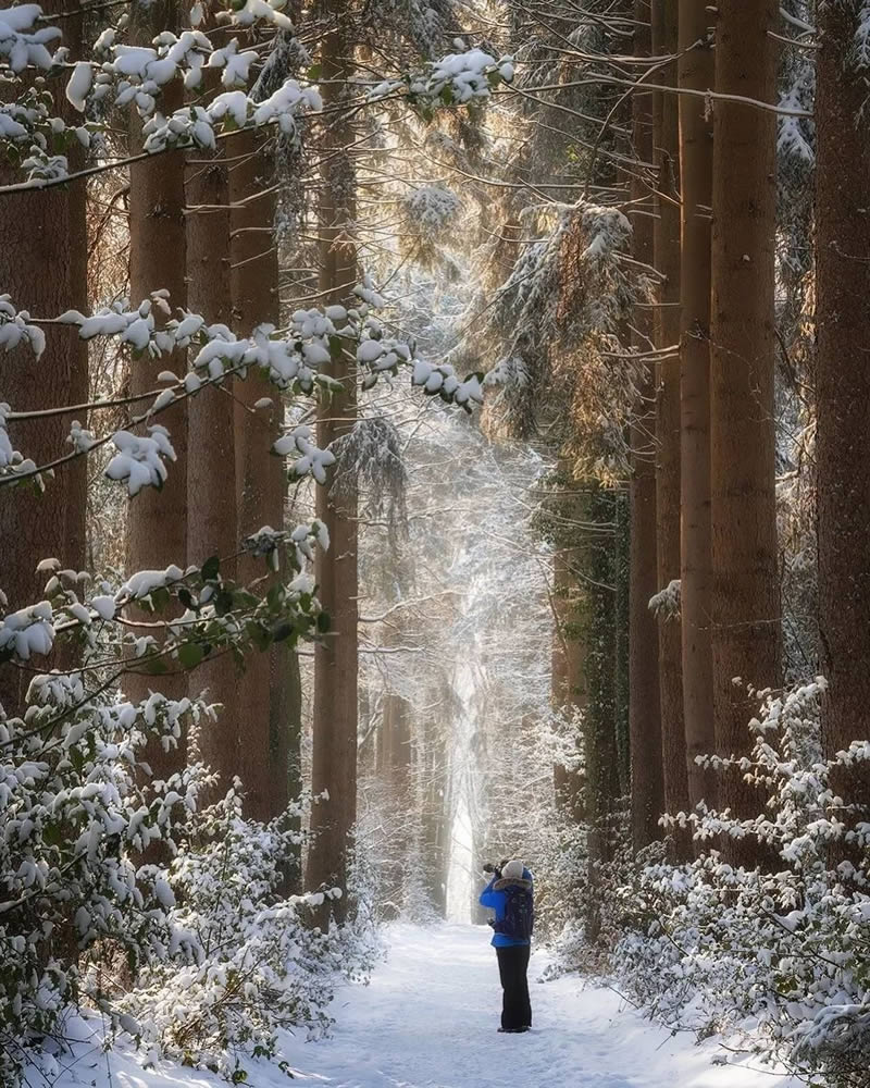 Beautiful And Colorful Netherlands Photos