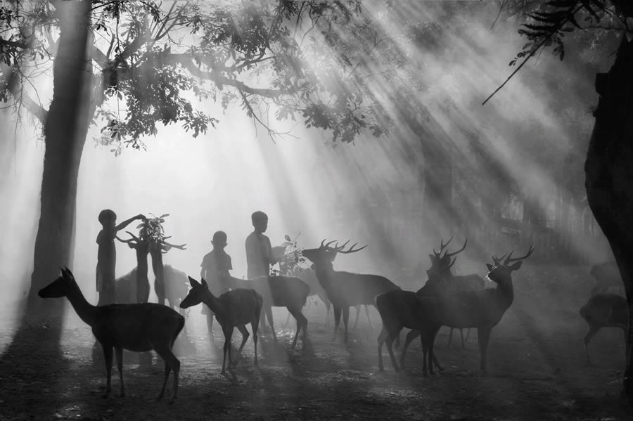 Award-Winning Black And White Photos of 2024