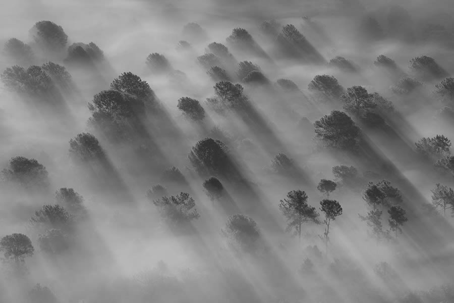 Black And White-Winning Photos From The 35 Photography Awards