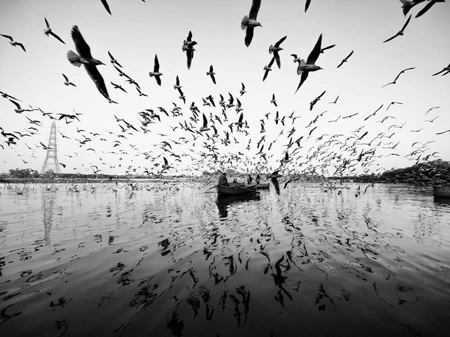 Black And White-Winning Photos From The 35 Photography Awards