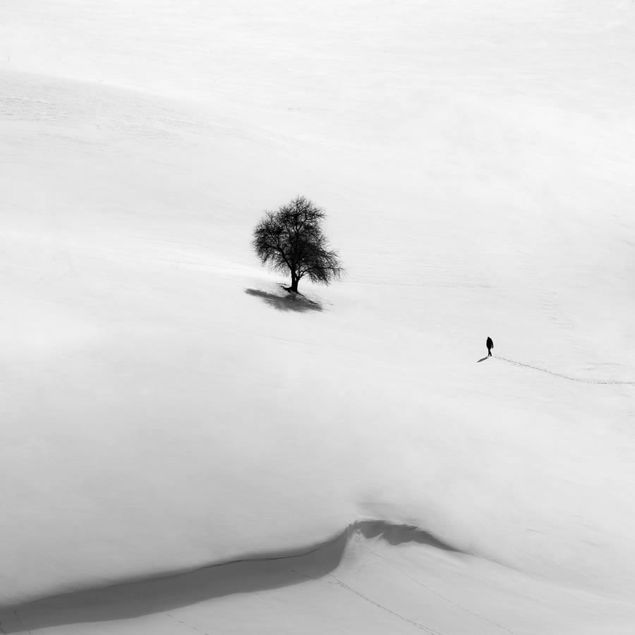 Black And White-Winning Photos From The 35 Photography Awards