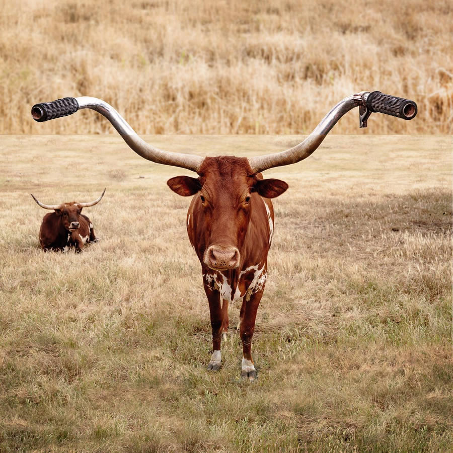 Combining Two Photos By Stephen McMennamy