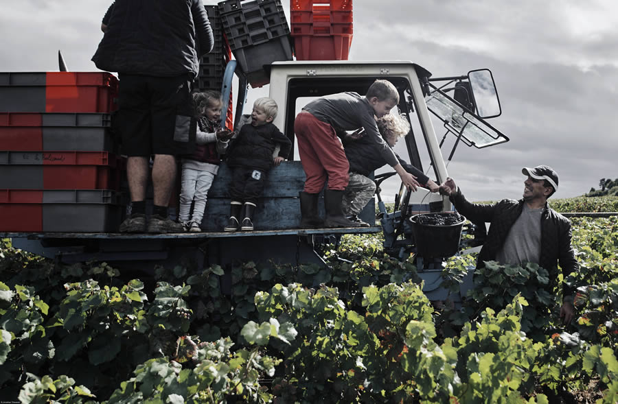 Food Photographer of the Year 2024 Winners