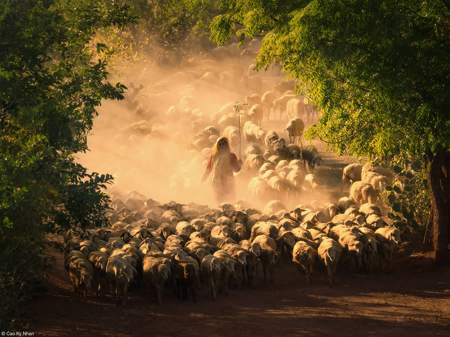 Food Photographer of the Year 2024 Winners