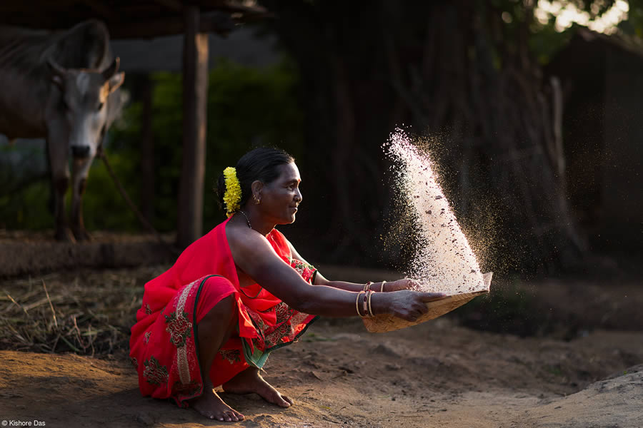 Food Photographer of the Year 2024 Winners