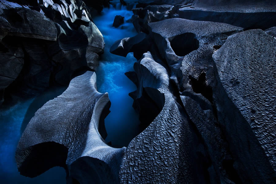 GDT Photographer Of The Year 2024 Nature Winners