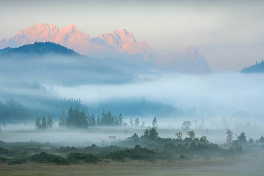 GDT Photographer Of The Year 2024 Nature Winners