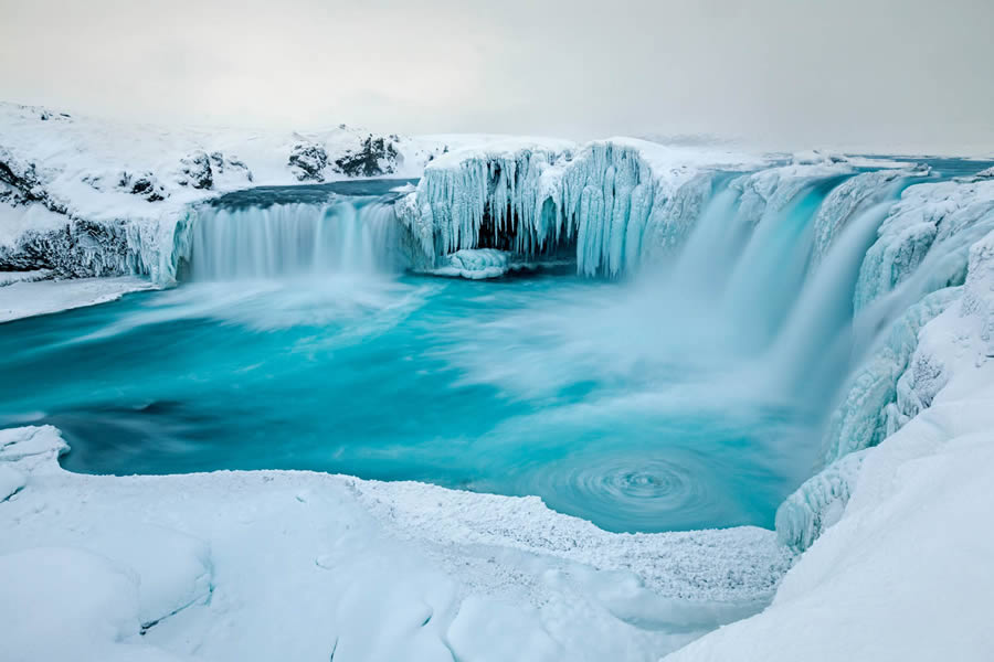 GDT Photographer Of The Year 2024 Nature Winners