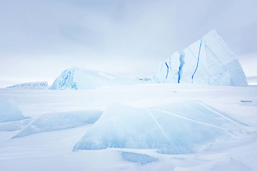 GDT Photographer Of The Year 2024 Nature Winners