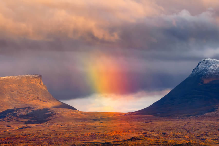 GDT Photographer Of The Year 2024 Nature Winners