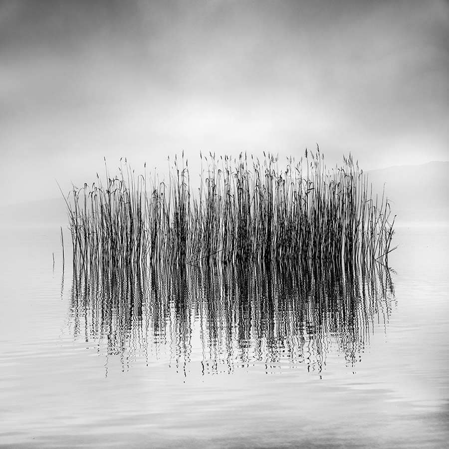 In the Mist Fine Art Landscapes By George Digalakis