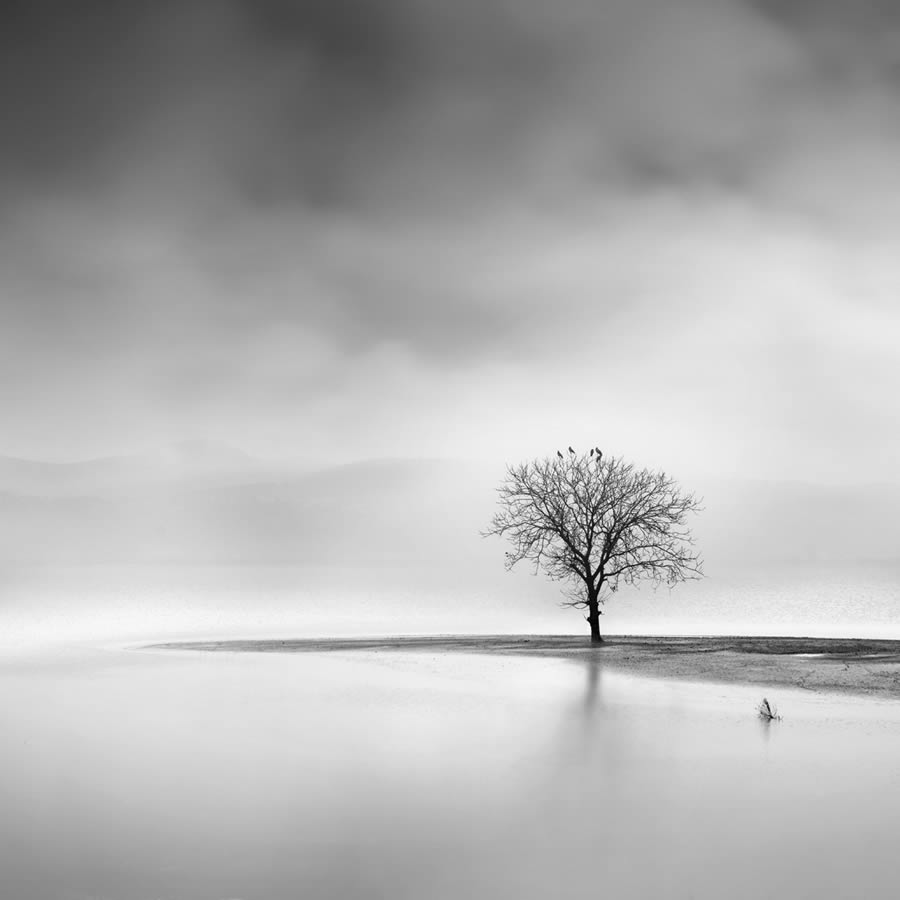 In the Mist Fine Art Landscapes By George Digalakis