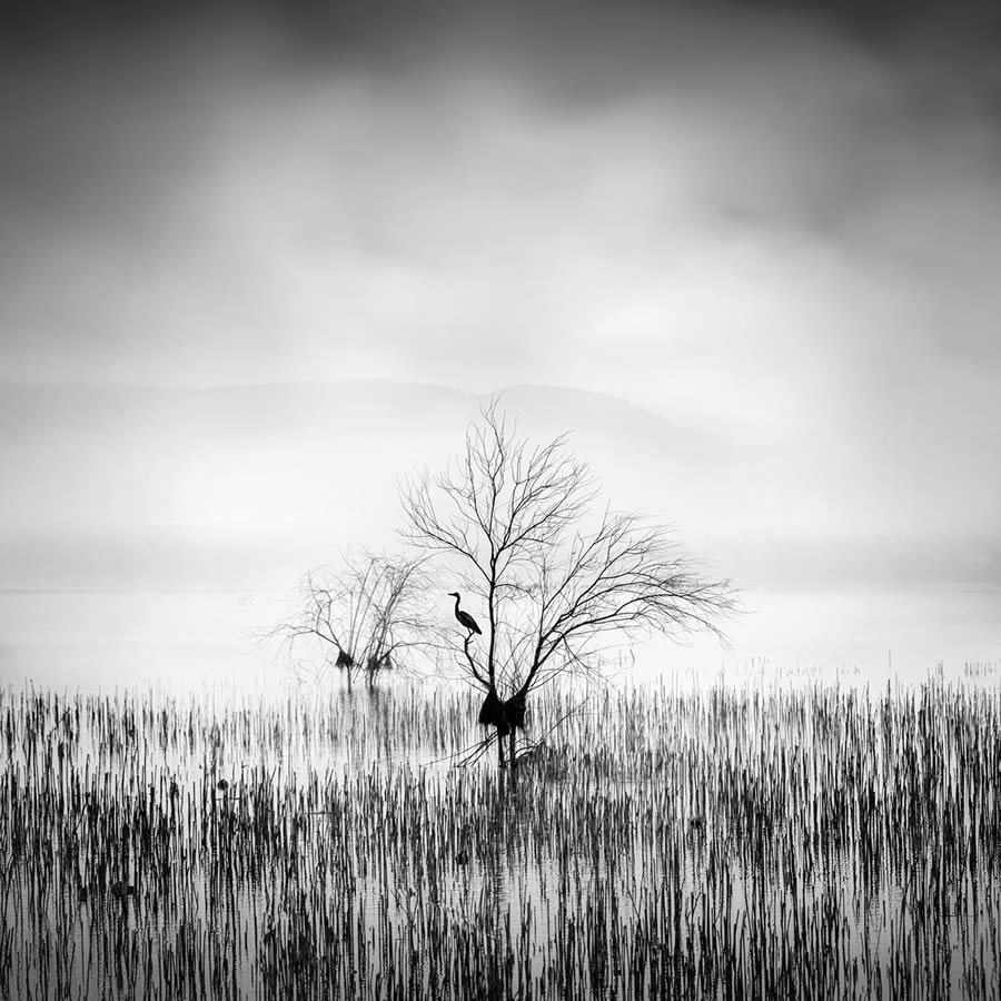 In the Mist Fine Art Landscapes By George Digalakis