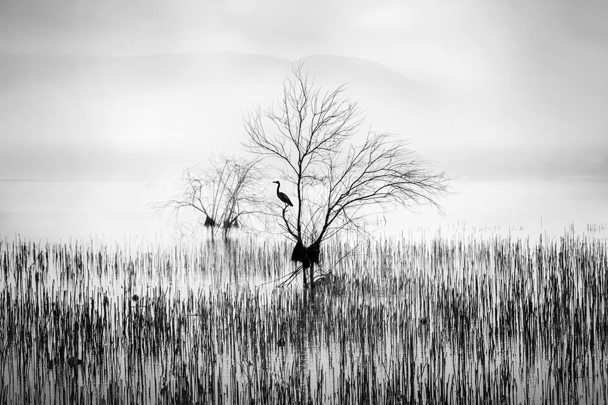 In the Mist Fine Art Landscapes By George Digalakis