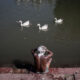 Indian Street Photography