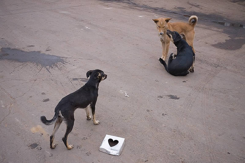 Indian Street Photography Decisive Moments By Vineet Vohra