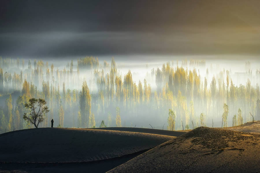 Landscape-Winning Photos From The 35 Photography Awards