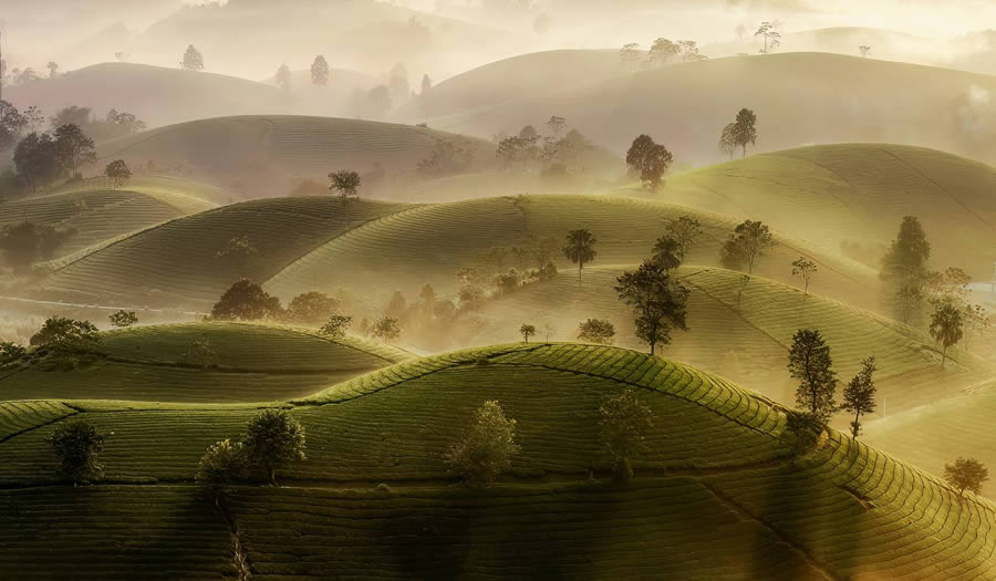 Landscape-Winning Photos From The 35 Photography Awards