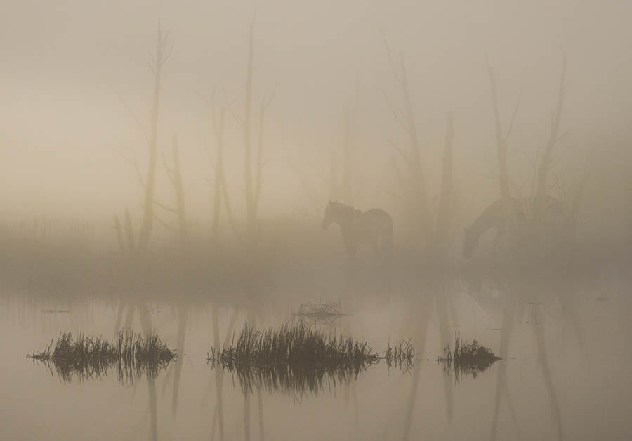 Quiet Landscapes By Darrel Rhea