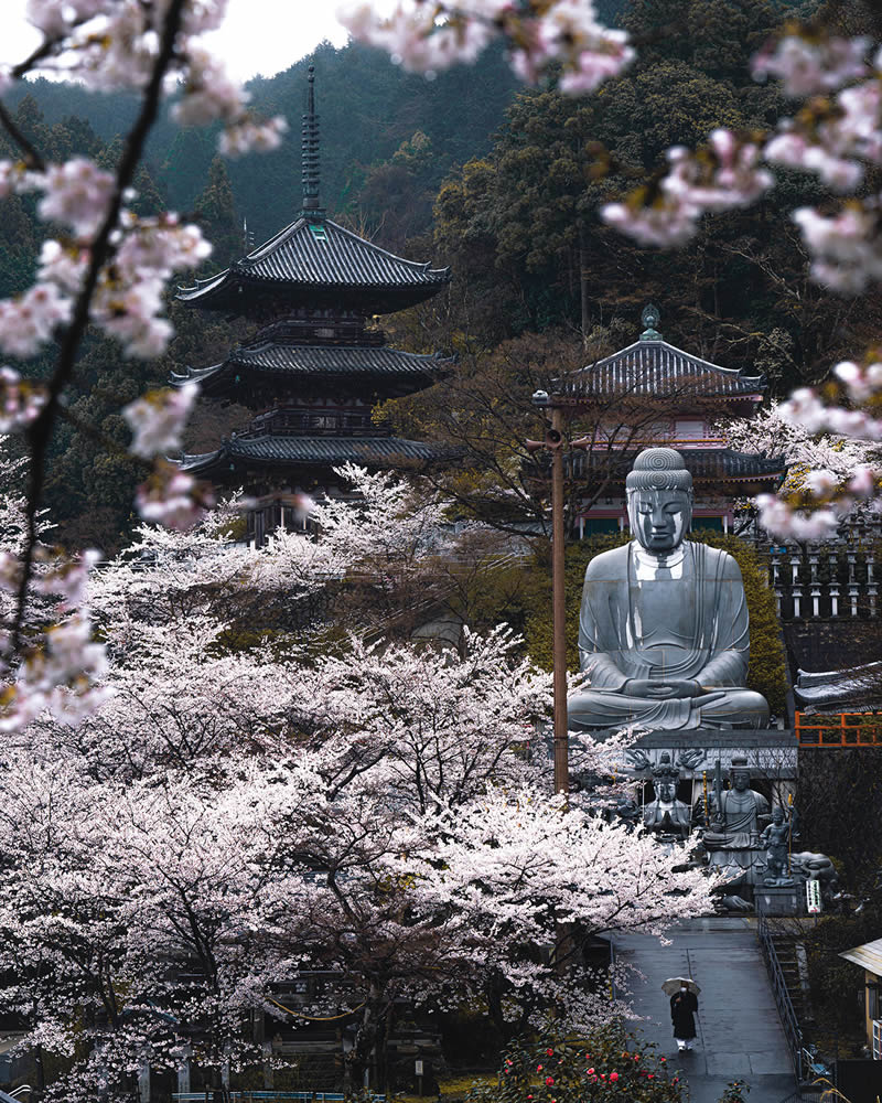 Spring In Japan By Hisa Matsumura