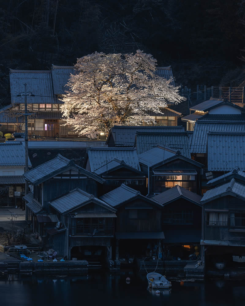 Spring In Japan By Hisa Matsumura