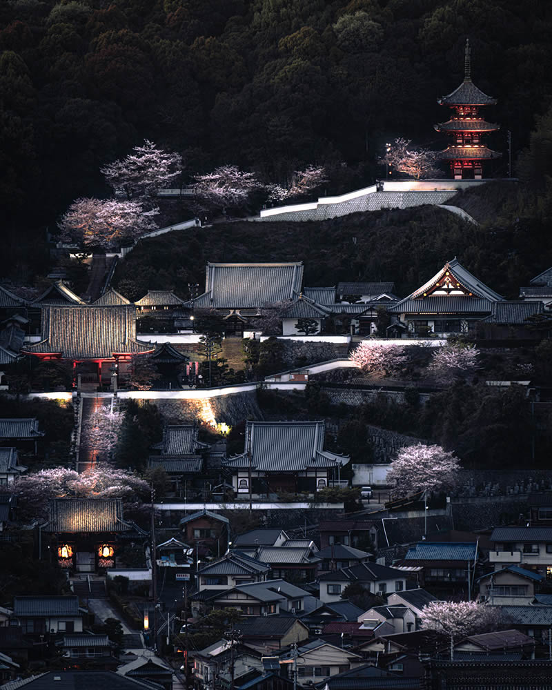 Spring In Japan By Hisa Matsumura