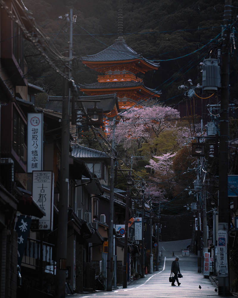 Spring In Japan By Hisa Matsumura