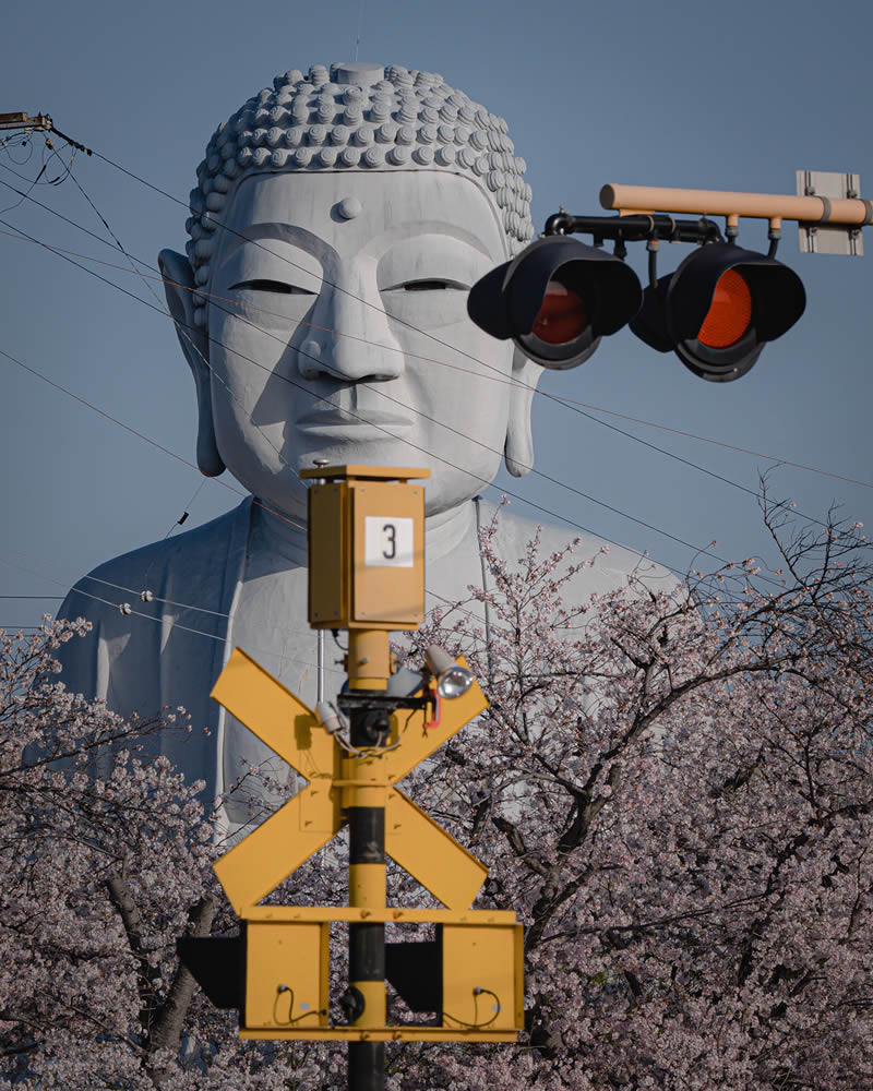 Spring In Japan By Hisa Matsumura