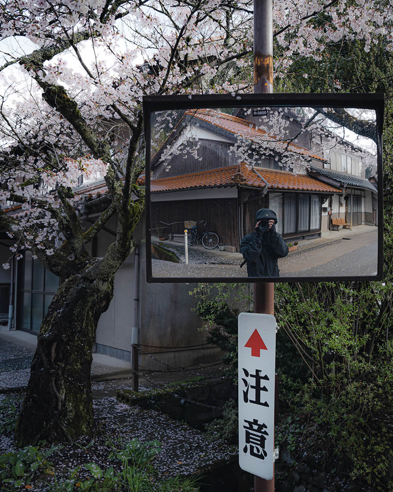 Spring In Japan By Hisa Matsumura