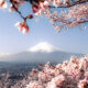 Spring In Japan By Hisa Matsumura