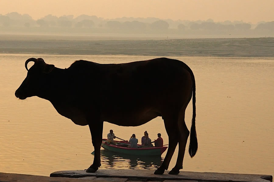 Indian Street Photography By Aniruddha Guha Sarkar