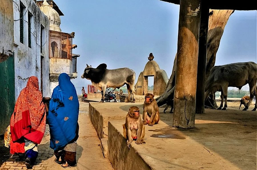 Indian Street Photography By Aniruddha Guha Sarkar