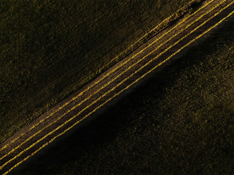 Aerial Photography Of Vineyards By Tiago And Tania