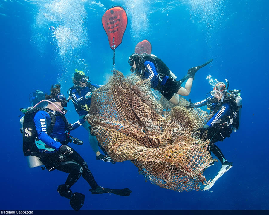 United Nations World Oceans Day Photo Contest Winners