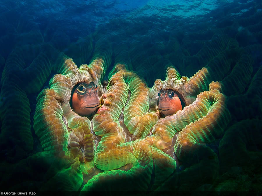 United Nations World Oceans Day Photo Contest Winners