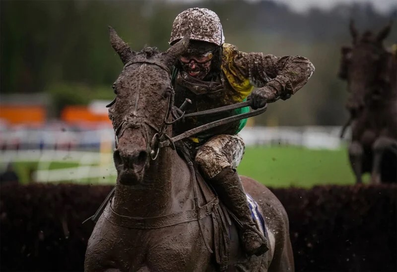 2024 World Sports Photography Awards