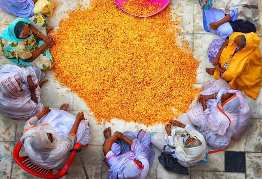 Yellow In Focus By Tanusree Mitra