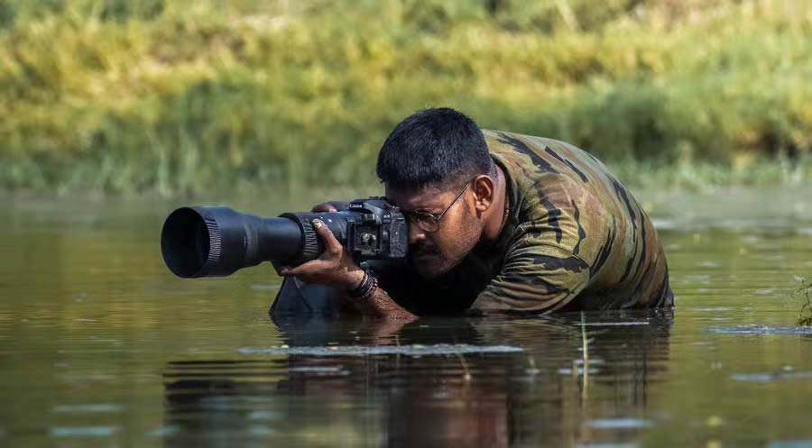 Indian Bird Photography By Arnab Roy