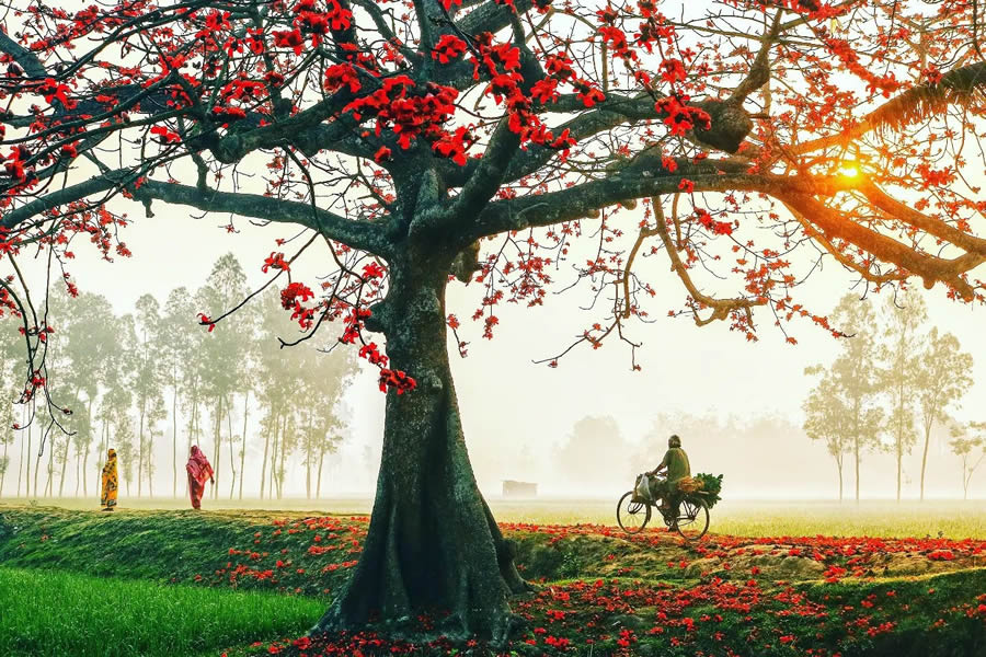 Beautiful Bangladesh Photography By Mahat Hasan