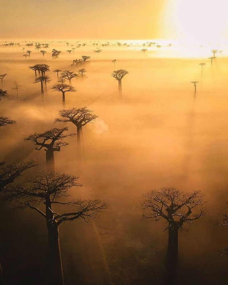 Best Drone Photography From Around The World