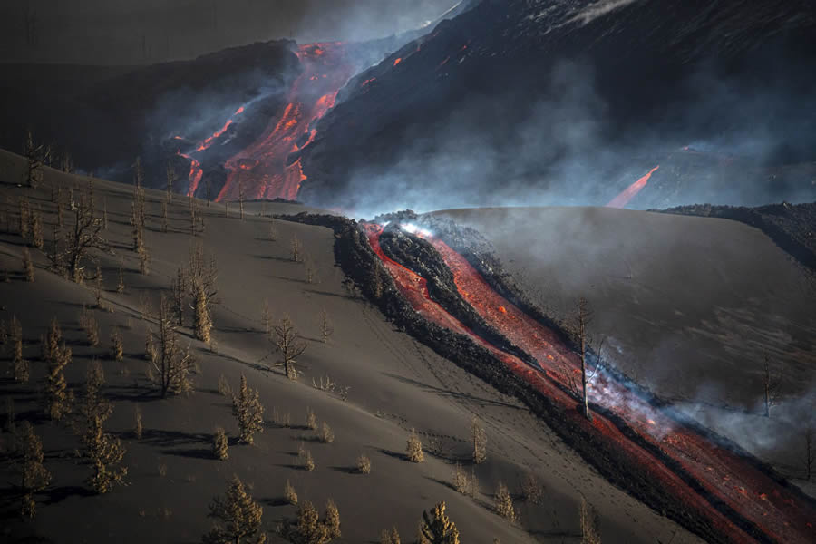 Big Picture Nature World Photography Awards 2024 Winners