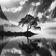 Fine Art Black And White Landscape Photography Frank Tischer