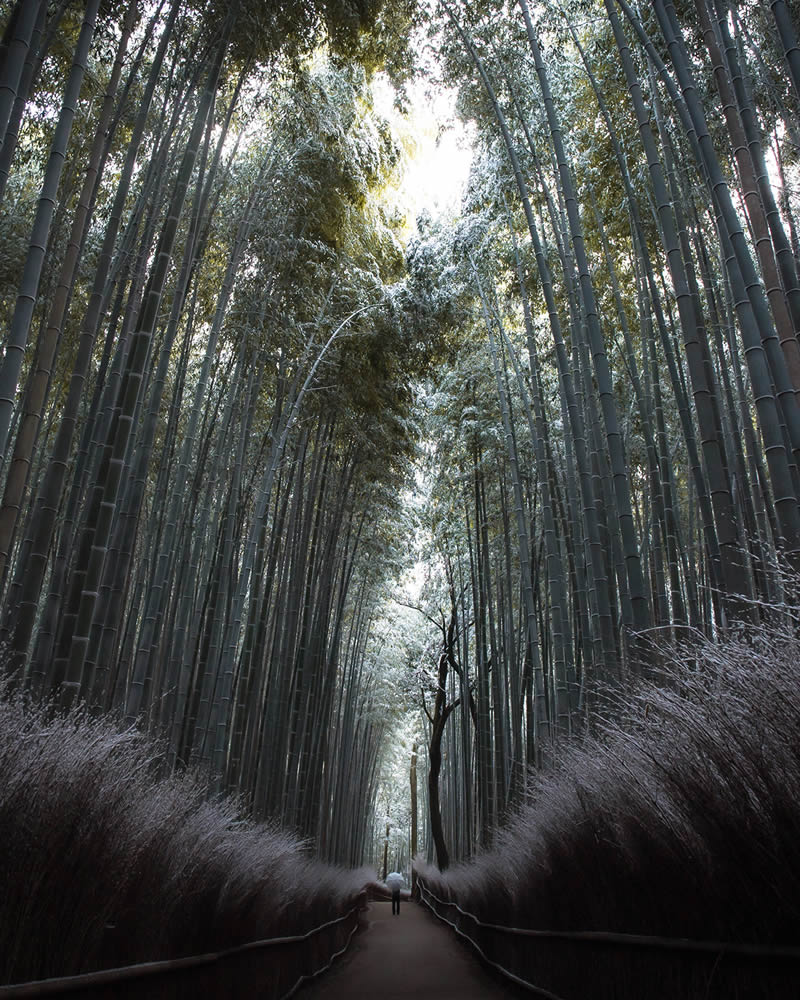 Japan Nature Landscape Photography By Hisa Matsumura