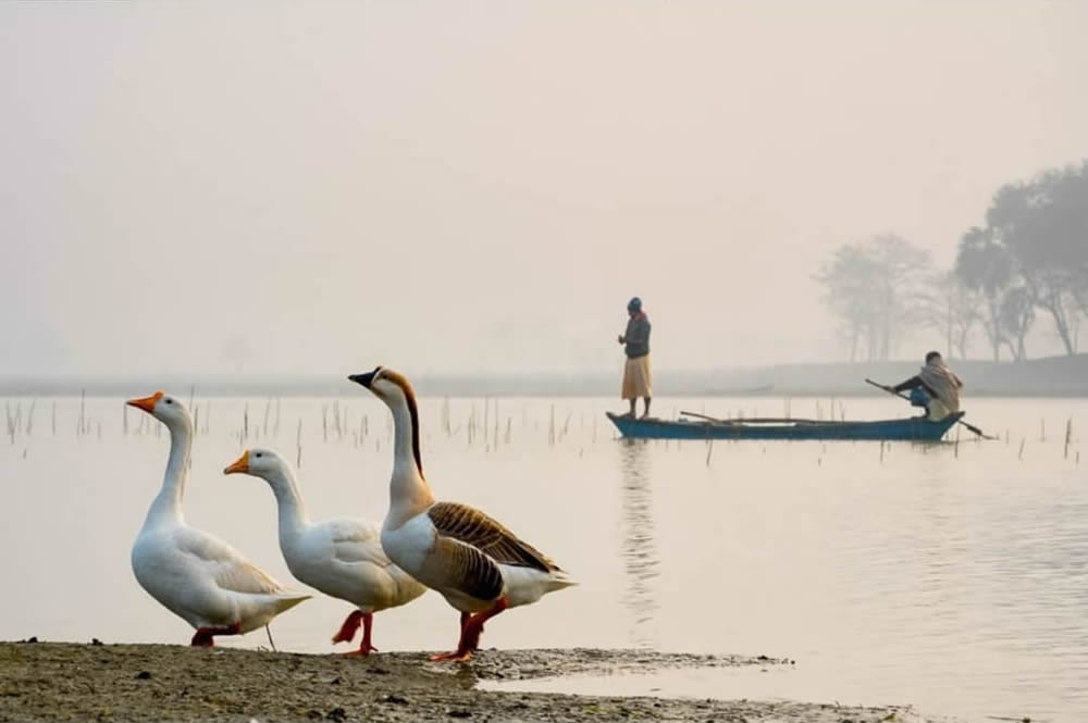 Indian Street And Travel Photography By Navin Kumar Vatsa