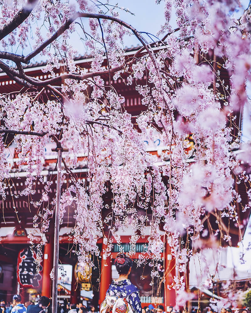 Japan Travel Photography By Kristina Makeeva