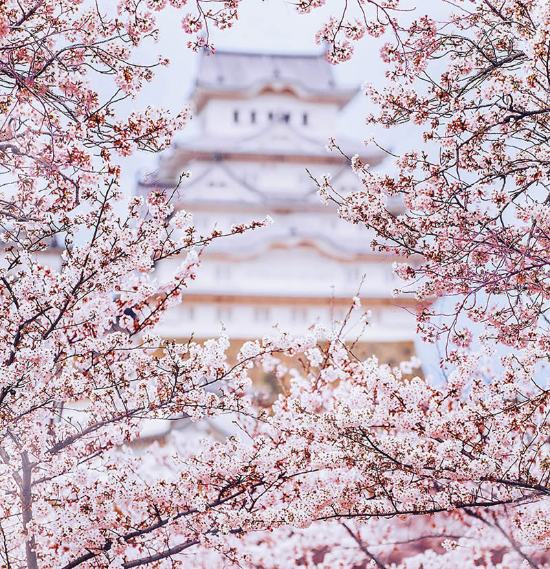 Japan Travel Photography By Kristina Makeeva