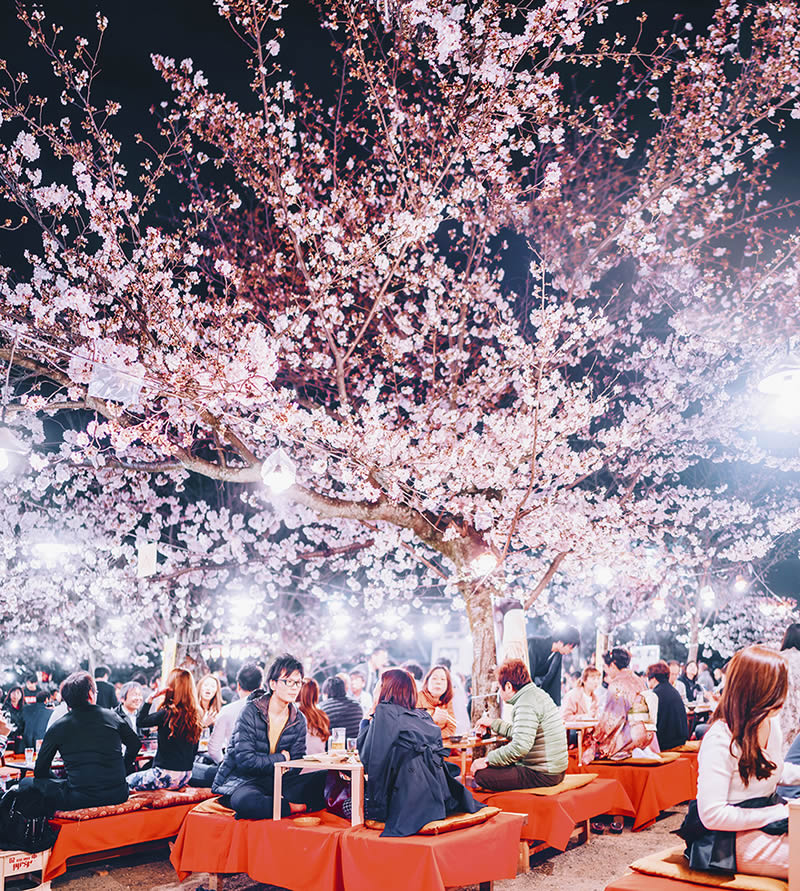 Japan Travel Photography By Kristina Makeeva